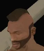 Clothing index 22: mohawkbeard (mohawk)